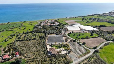 Sea view residential field Agios Theodoros Larnaka - 4