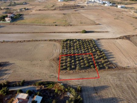 Eleven shared residential fields in Geri Nicosia - 6