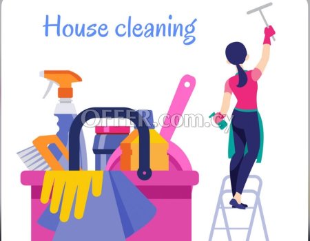 TheBlink Cleaning