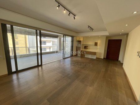 Three bedroom plus 1 luxury apartment in the heart of City center - 3