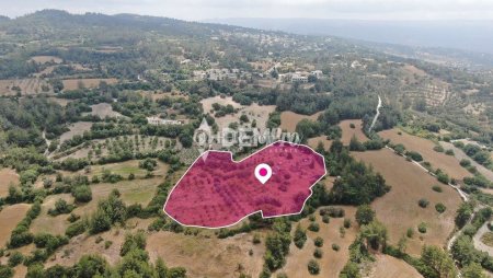 Agricultural Land For Sale in Lysos, Paphos - DP3539
