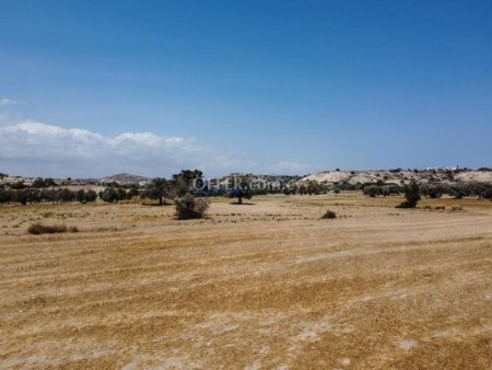Field in Mazotos - 4