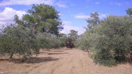 New For Sale €62,000 Land Mathiatis Nicosia - Main Photo