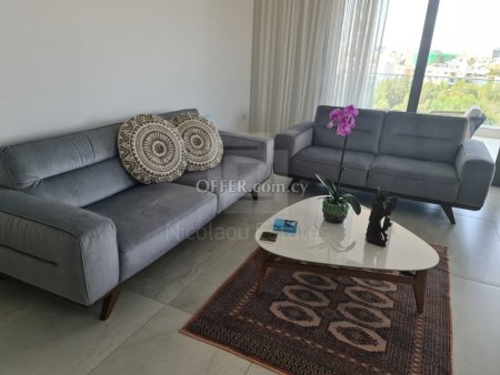 Beautiful two bedroom apartment with fireplace on a brand new buidling just opossite the park in Acropoli - 1