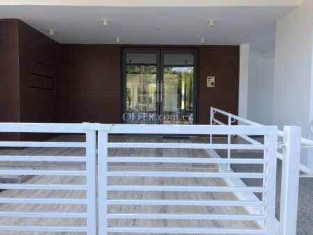 Beautiful two bedroom apartment with fireplace on a brand new buidling just opossite the park in Acropoli - 8