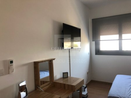 Beautiful two bedroom apartment with fireplace on a brand new buidling just opossite the park in Acropoli - 4