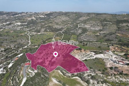 Agricultural Land For Sale in Mesogi, Paphos - DP3549 - 1