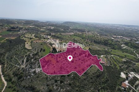 Agricultural Land For Sale in Mesogi, Paphos - DP3549 - 4