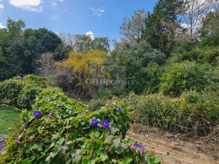 Detached 4 bedrooms house in Peyia - 9