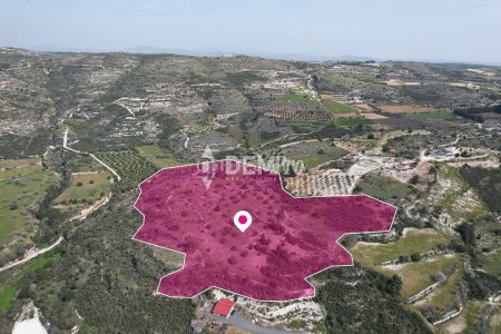 Agricultural Land For Sale in Mesogi, Paphos - DP3549 - 2
