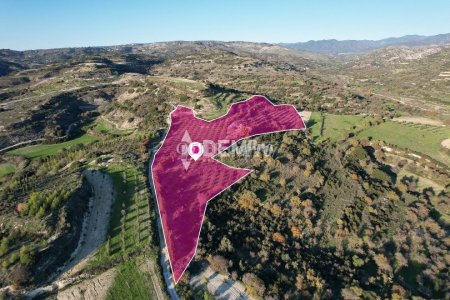 Agricultural Land For Sale in Choulou, Paphos - DP3205 - 1