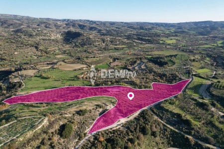 Agricultural Land For Sale in Choulou, Paphos - DP3205 - 4