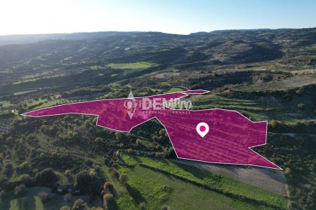 Agricultural Land For Sale in Choulou, Paphos - DP3205 - 3