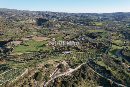 Agricultural Land For Sale in Choulou, Paphos - DP3205 - 2