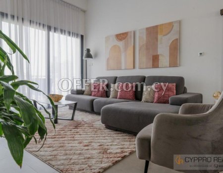 Luxury 2 Bedroom Apartment in Tourist Area - 5
