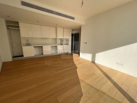 One bedroom apartment in Neapolis tourist area Limassol - 5