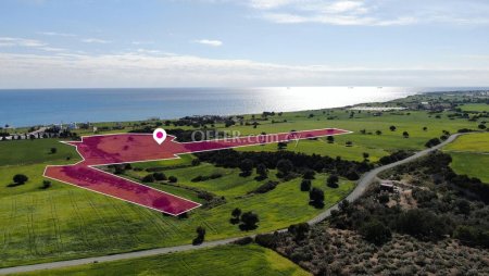 Share Touristic Field in Agios Theodoros Larnaca - 4