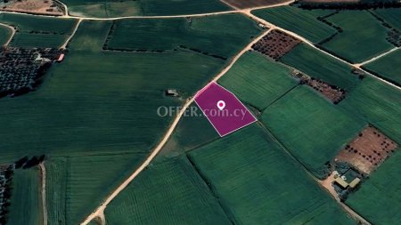 Plot in Avgorou Ammochostos