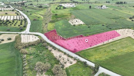 50 Share of Two Adjacent Residential Fields in Athienou Larnaca - 4