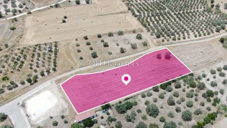 Residential field in Analiontas Nicosia. - 5