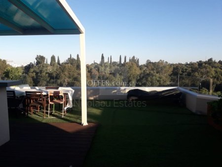 Luxury two bedroom penthouse for rent in Strovolos - 7
