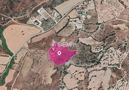Agricultural Land For Sale in Nata, Paphos - DP3345 - 1