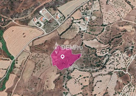 Agricultural Land For Sale in Nata, Paphos - DP3345 - Main Photo
