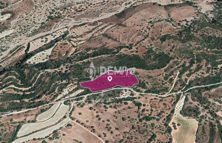 Agricultural Land For Sale in Choulou, Paphos - DP3333 - Main Photo