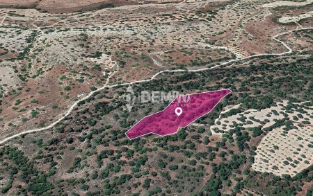 Agricultural Land For Sale in Kannaviou, Paphos - DP3316