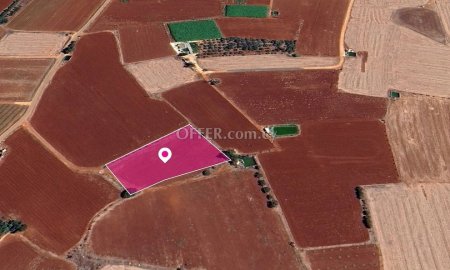 Field in Sotira Ammochostos