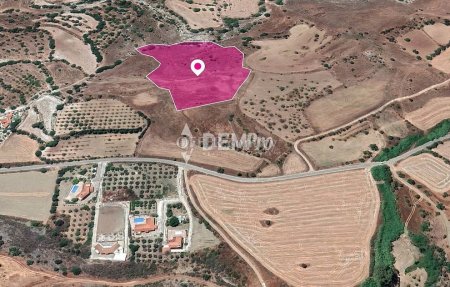 Agricultural Land For Sale in Nata, Paphos - DP3345 - 3
