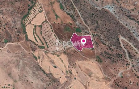 Agricultural Land For Sale in Nata, Paphos - DP3327 - 5