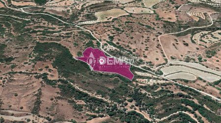 Agricultural Land For Sale in Choulou, Paphos - DP3333 - 2