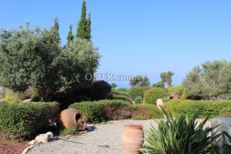 House (Detached) in Aphrodite Hills, Paphos for Sale - 4