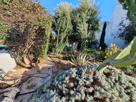 House (Detached) in Secret Valley, Paphos for Sale - 2