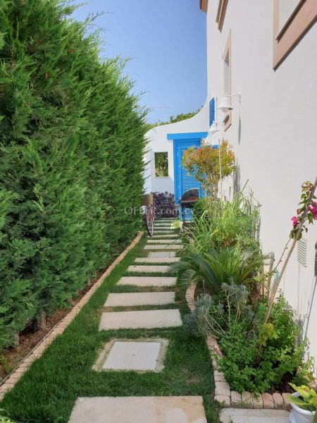 House (Semi detached) in Limassol Marina Area, Limassol for Sale - 2