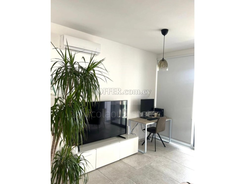 Two Bedroom Top Floor Apartment for Rent in Central of Nicosia - 3