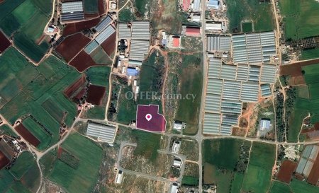 Field in Sotira Ammochostos