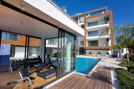 Apartment (Penthouse) in Papas Area, Limassol for Sale - 1