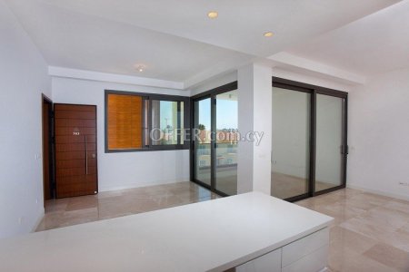 Apartment (Penthouse) in Papas Area, Limassol for Sale - 3