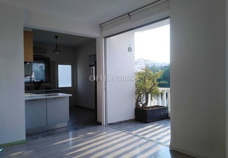 Apartment (Penthouse) in Agioi Omologites, Nicosia for Sale - 5