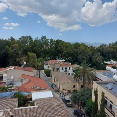 Apartment (Penthouse) in Agioi Omologites, Nicosia for Sale - 5