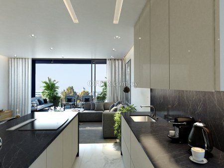 Apartment (Penthouse) in Aglantzia, Nicosia for Sale - 4