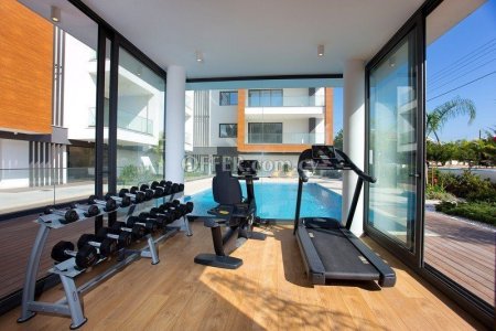 Apartment (Penthouse) in Papas Area, Limassol for Sale - 8