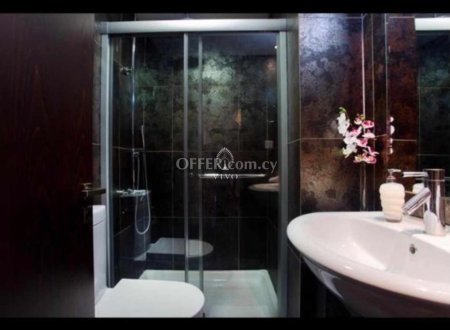 TWO BEDROOM FULLY FURNSIHED APARTMENT FOR RENT - 4