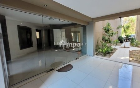 Apartment in Pallouriotissa for Rent - 11