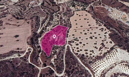 Special Protection zoned field in Kalavasos Larnaca. - 1