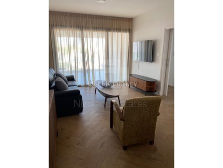 Furnished two bedroom apartment for rent in Katholiki area