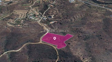Share Live stock field in Kalo Chorio Oreinis Nicosia - 2