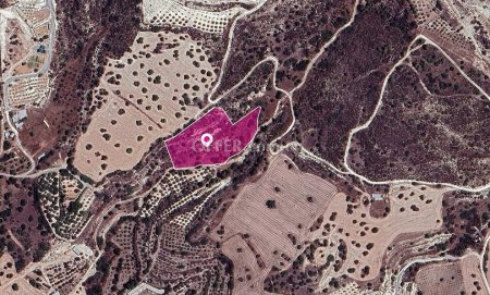 Special Protection zoned field in Kalavasos Larnaca. - 2